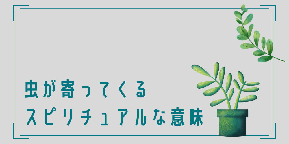 虫が寄ってくるスピリチュアルな意味と理由は？